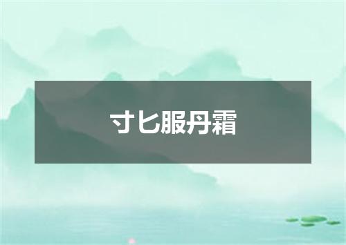 寸匕服丹霜