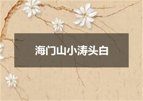 海门山小涛头白