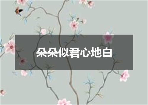 朵朵似君心地白