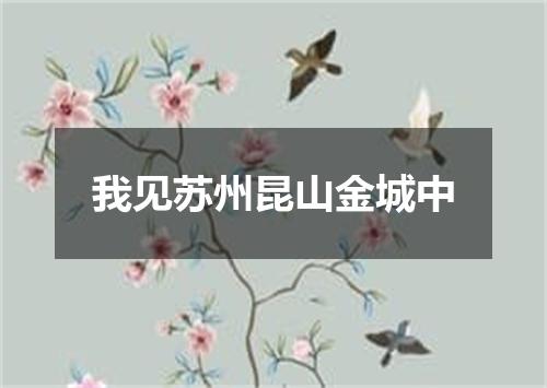 我见苏州昆山金城中
