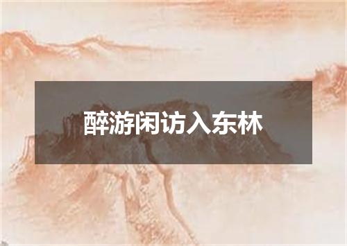 醉游闲访入东林