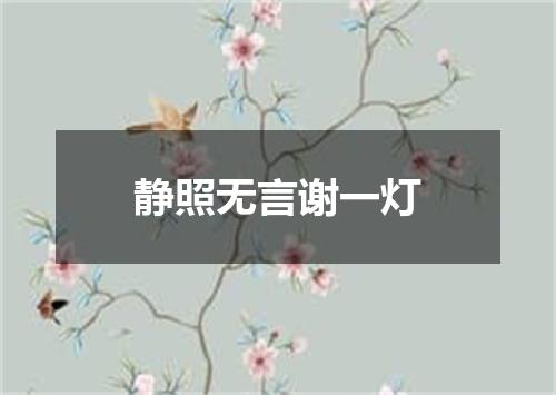 静照无言谢一灯