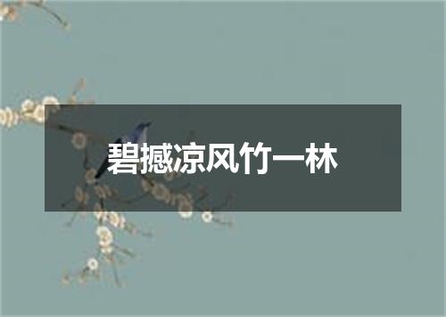 碧撼凉风竹一林