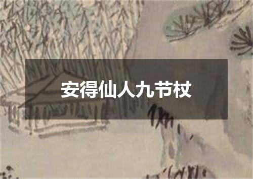 安得仙人九节杖