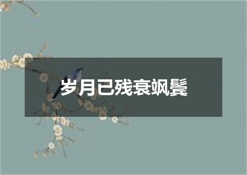 岁月已残衰飒鬓