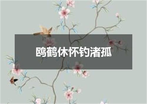 鸥鹤休怀钓渚孤
