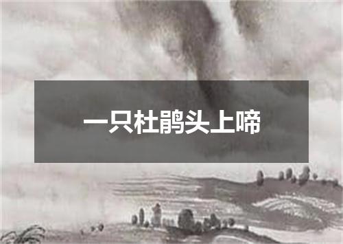 一只杜鹃头上啼