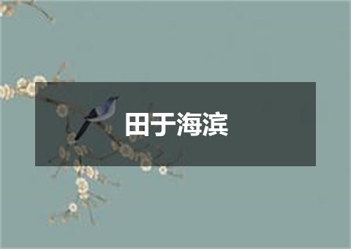 田于海滨