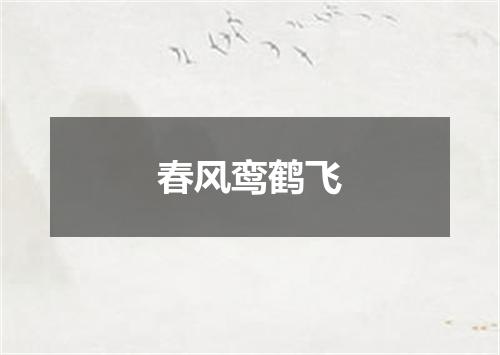 春风鸾鹤飞