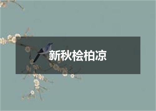 新秋桧柏凉