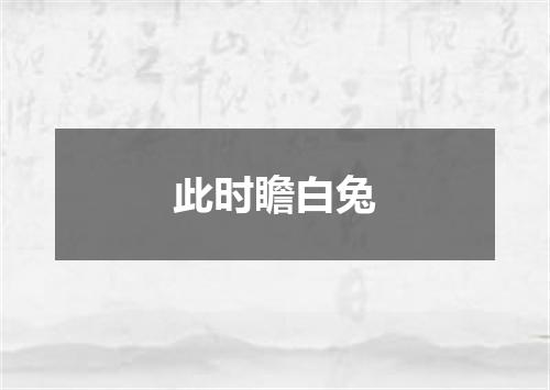 此时瞻白兔