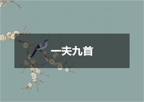 一夫九首