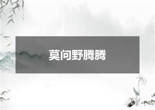 莫问野腾腾