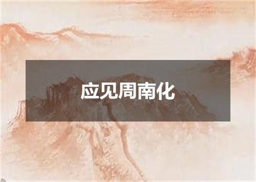 应见周南化