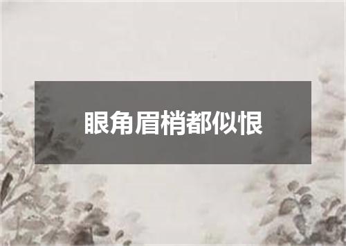 眼角眉梢都似恨