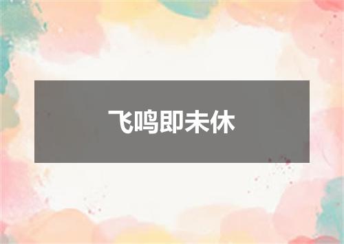 飞鸣即未休