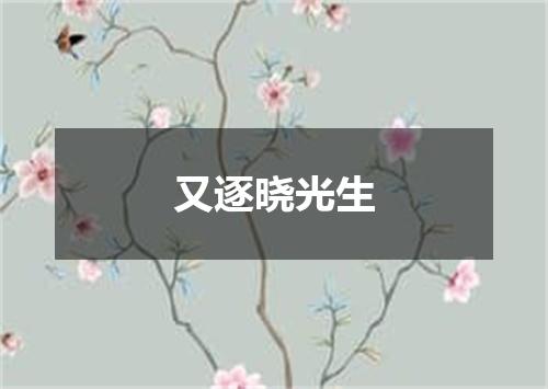 又逐晓光生