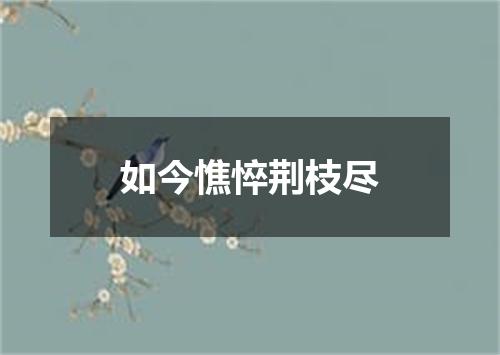如今憔悴荆枝尽