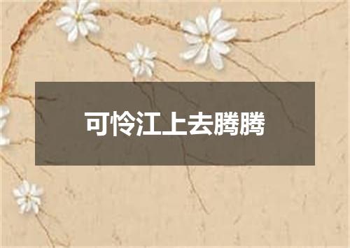 可怜江上去腾腾