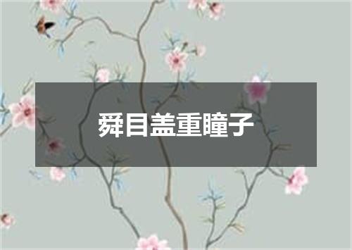 舜目盖重瞳子