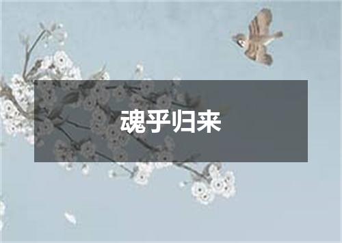 魂乎归来