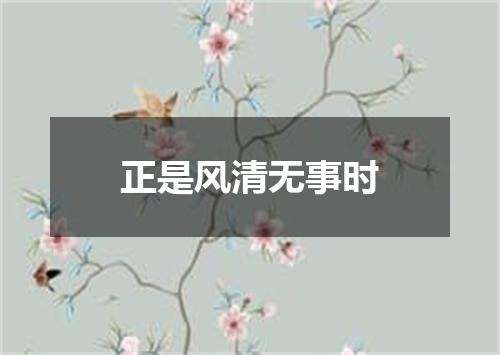 正是风清无事时