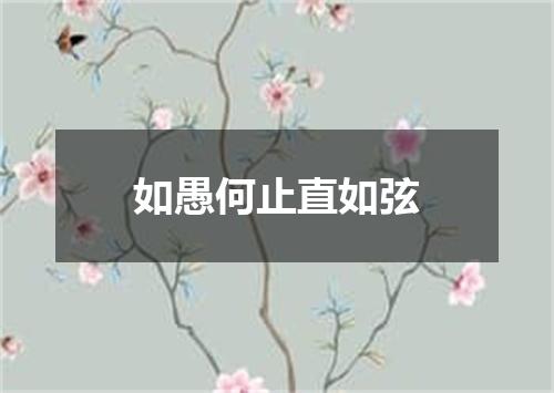 如愚何止直如弦