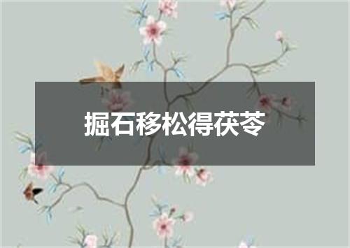 掘石移松得茯苓