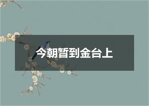今朝暂到金台上