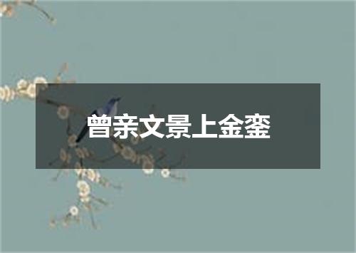 曾亲文景上金銮