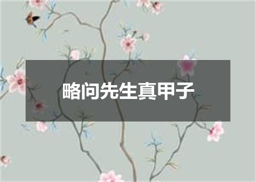 略问先生真甲子
