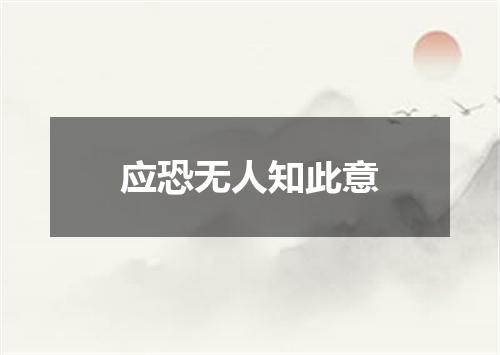 应恐无人知此意