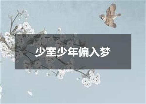少室少年偏入梦