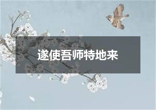 遂使吾师特地来
