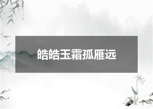 皓皓玉霜孤雁远