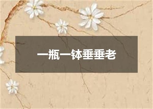 一瓶一钵垂垂老
