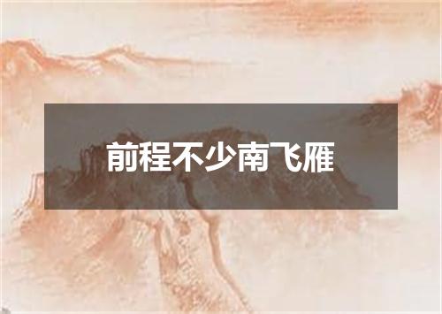 前程不少南飞雁