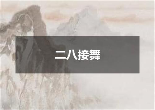 二八接舞