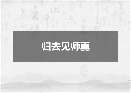 归去见师真