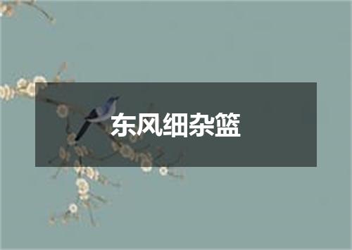 东风细杂篮