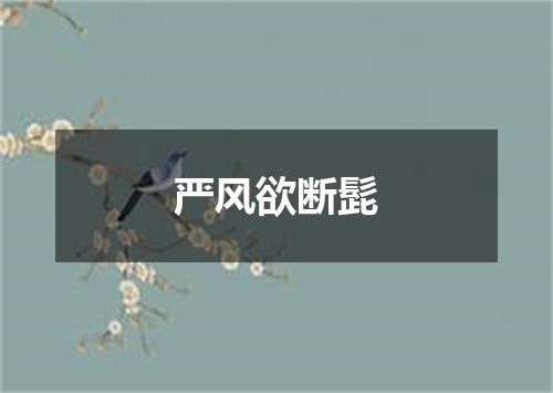 严风欲断髭