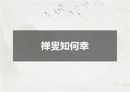 禅叟知何幸