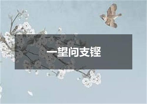 一望问支铿