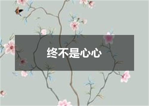 终不是心心