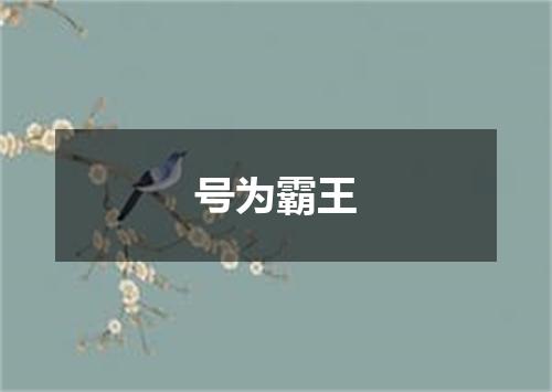 号为霸王