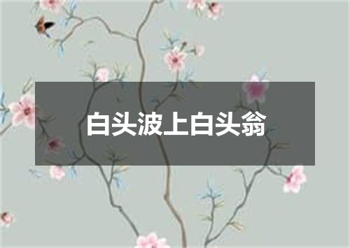 白头波上白头翁