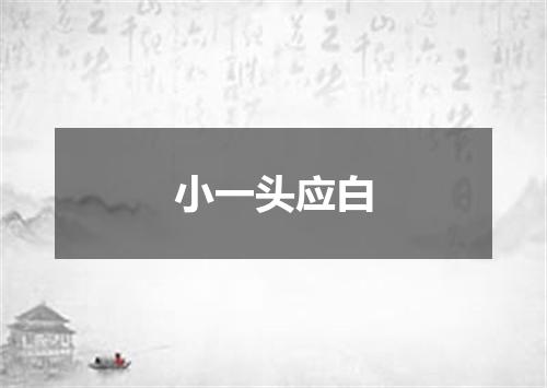 小一头应白