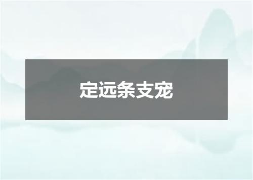 定远条支宠