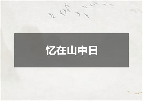 忆在山中日