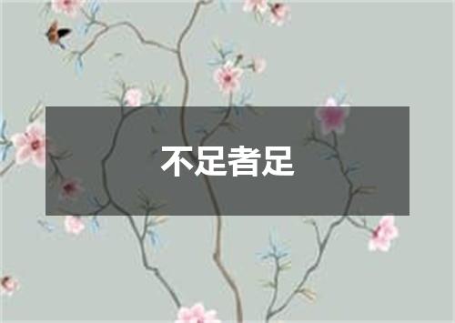 不足者足